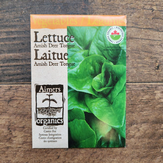 Lettuce 'Amish Deer Tongue' Seeds — Organic