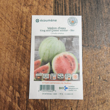 Sachet de semences Melon deau King and Queen Winter. Emballage blanc photographié de face sur un fond de bois brun. Une image du végétal occupe la partie centrale, sous le nom imprimé. De petits pictogrammes et un code-barres apparaissent au bas du sachet. La marque Écoumène figure dans la partie supérieure de cette présentation.
