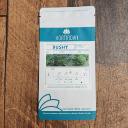 Dill 'Bushy'