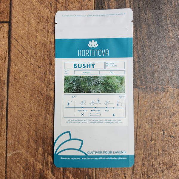 Dill 'Bushy'