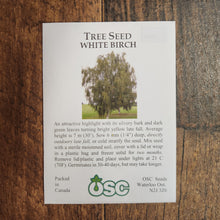 Tree Seed 'White Birch'