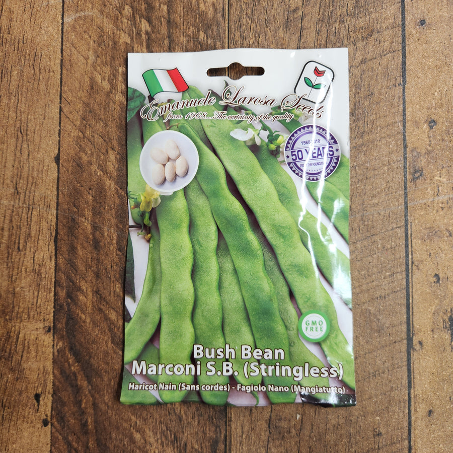 Haricot nain 'Marconi S.B.'