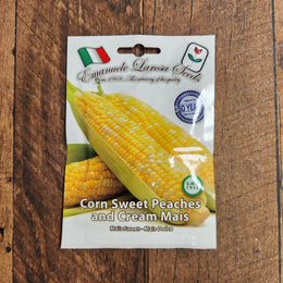 Sweet Corn 'Peaches and Cream' 