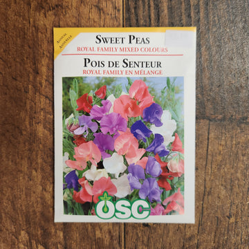 Sweet Pea 'Royal Family Mixed Colours'