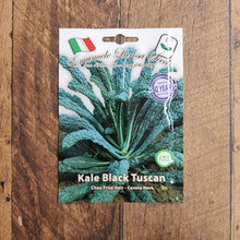 Kale 'Lacinato Toscano Noir'