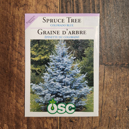 Colorado Blue Spruce