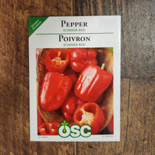 Sweet Pepper 'Summer Red'