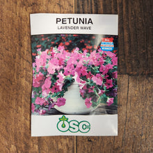 Petunia 'Lavender Wave'