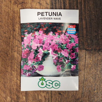 Pétunia Wave 'Lavender'