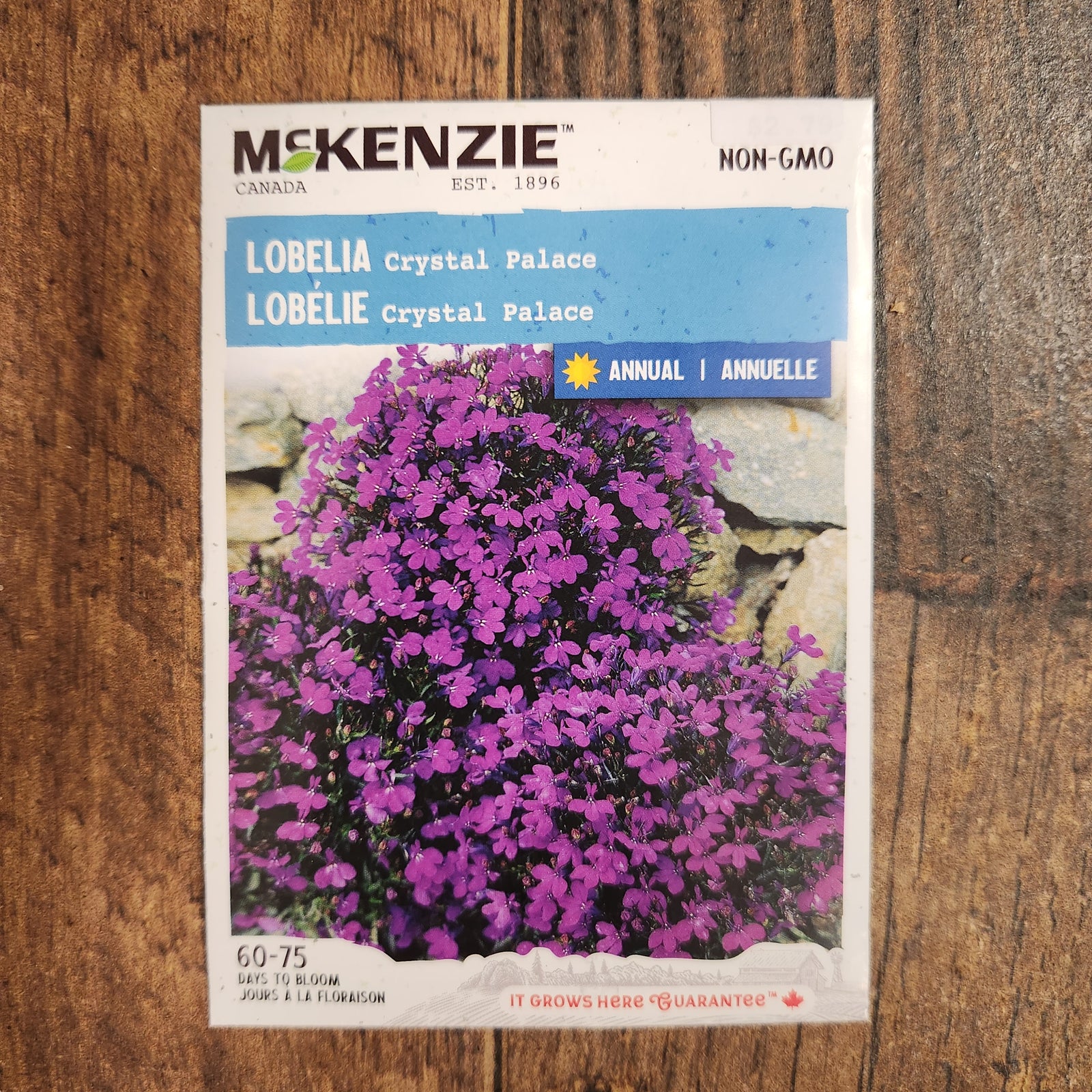 Lobelia 'Crystal Palace'