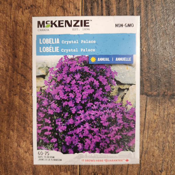 Lobelia 'Crystal Palace'