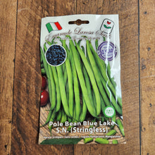 Pole bean 'Blue Lake SN - Stringless'