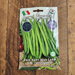 Pole bean 'Blue Lake SN - Stringless'