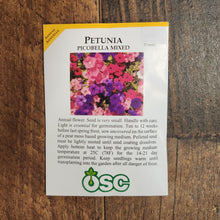 Petunia 'Picobella Mixed'