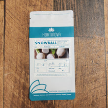 Rabiole blanc 'Snowball'