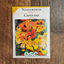 Capucine 'Phoenix'