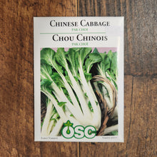 Chinese Cabbage 'Pak Choi'