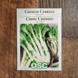 Chinese Cabbage 'Pak Choi'