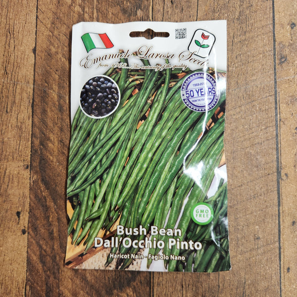 Bush Bean 'Dall'Occhio Pinto'