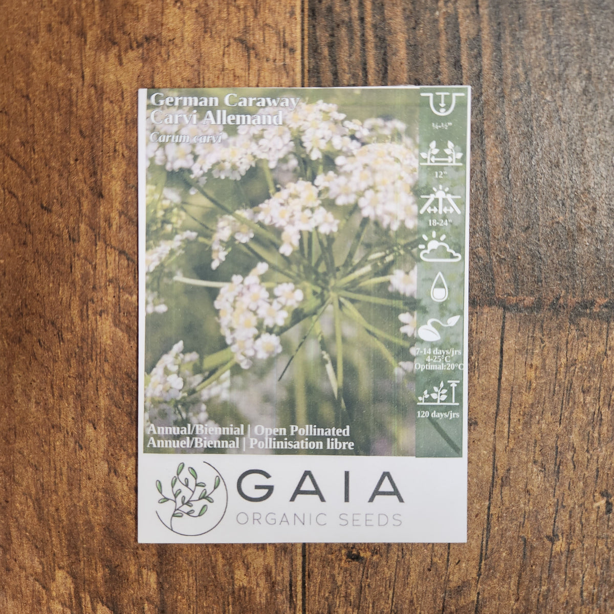 Organic 'German Caraway' Seeds by Gaia, additional product image for Canadian gardeners.