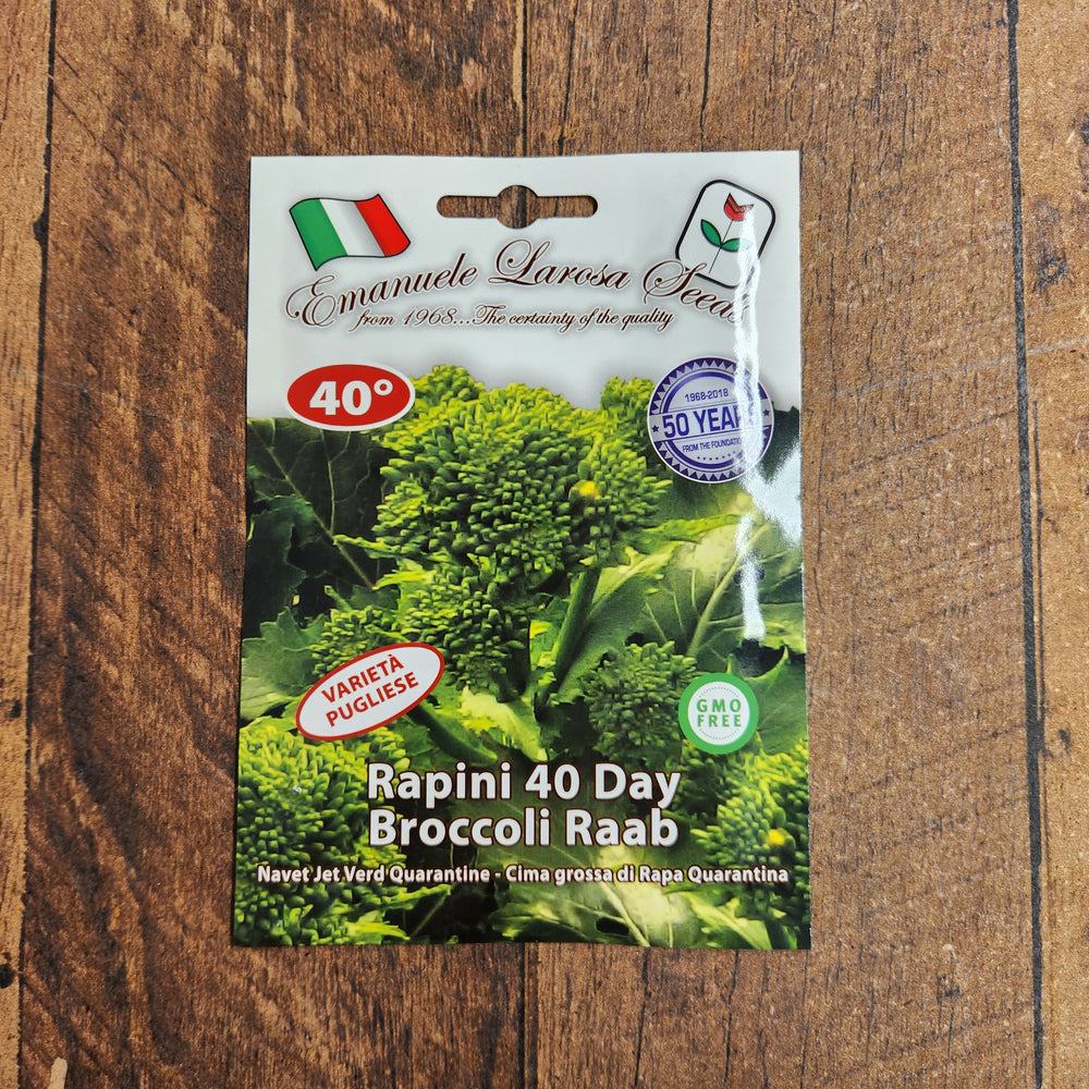 Broccoli 'Broccoli Rabe Quarantina' (40 days)