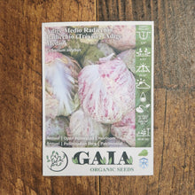 Organic Radicchio 'Adige Medio'