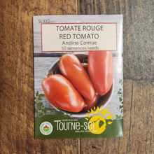 Tomate ‘Andine Cornue’ (<em>Solanum lycopersicum</em>)