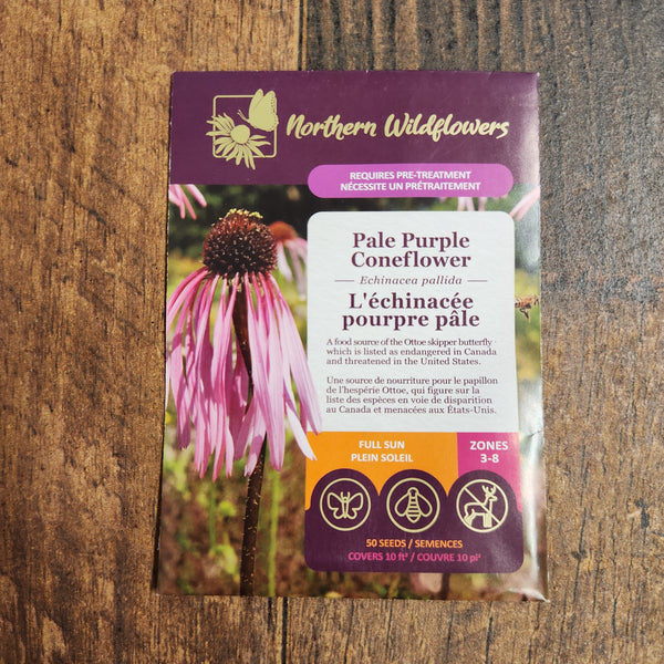 Pale Purple Coneflower