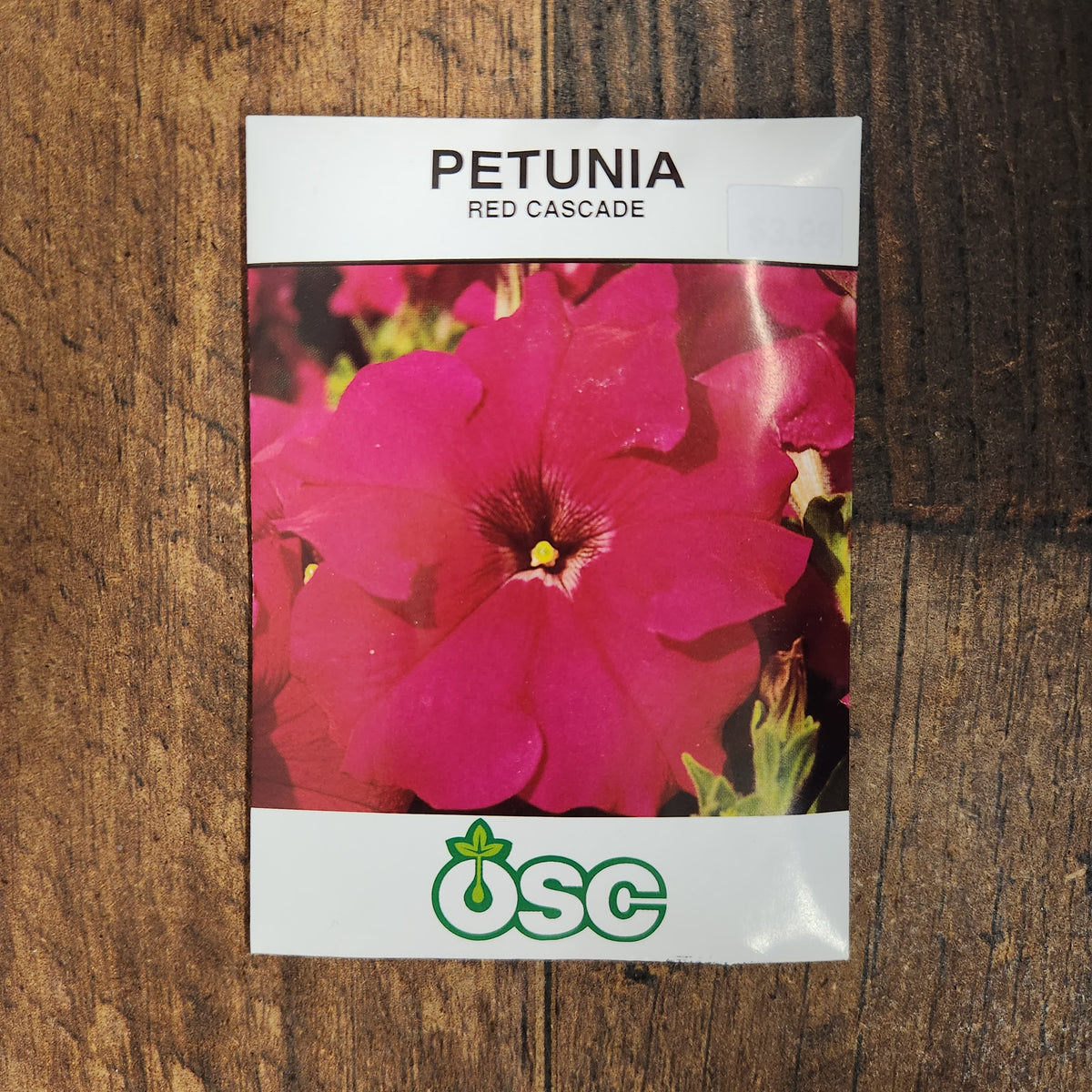 Petunia 'Red Cascade'