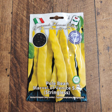 Pole Bean 'Marvel of Venice S.N.'