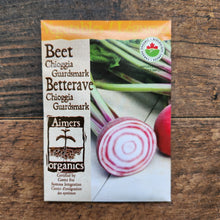 Betterave 'Chioggia Guardsmark' bio