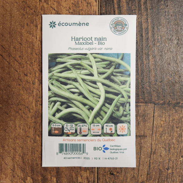 Organic Dwarf Bean 'Maxibel'