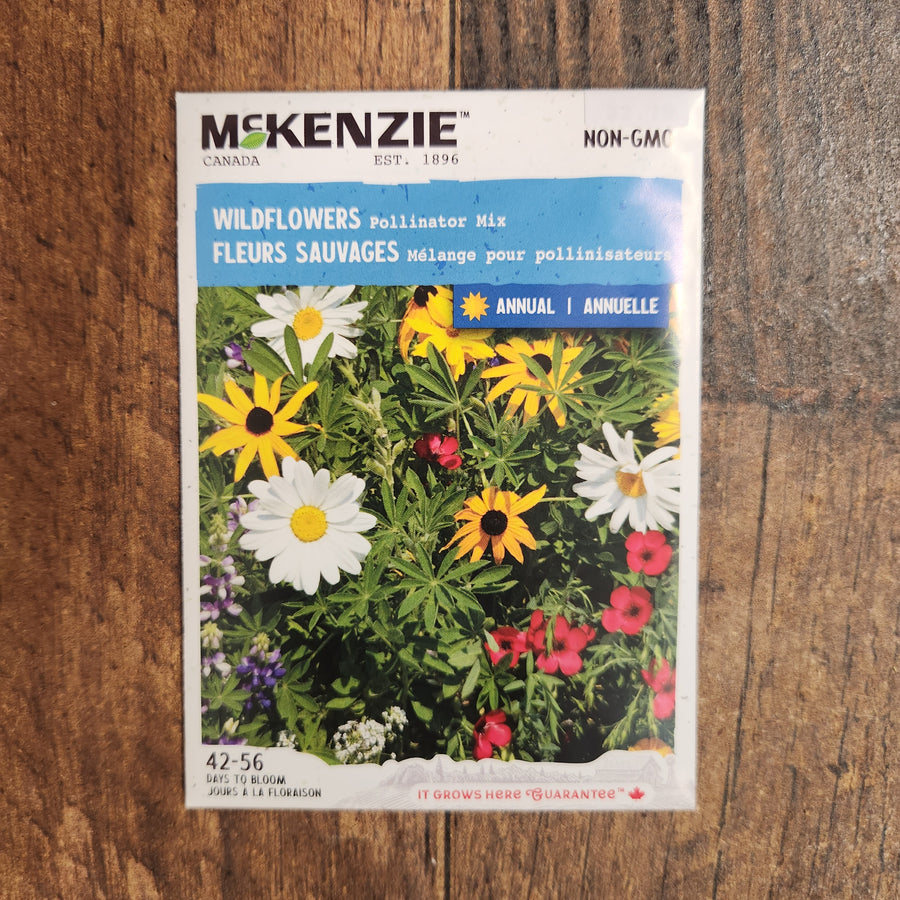 Mélange de fleurs sauvages 'Pour pollinisateurs'