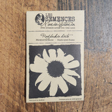 Yellow daisy