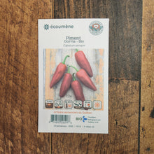 Organic 'Gorria' hot pepper