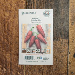 Piment fort 'Gorria' bio
