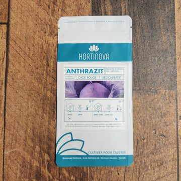 Chou rouge 'Antrazit'