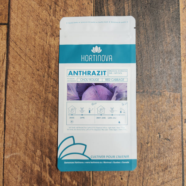 Red cabbage 'Antrazit'