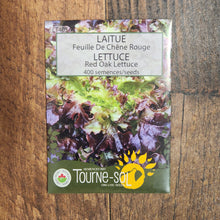 Laitue feuille de chêne rouge bio