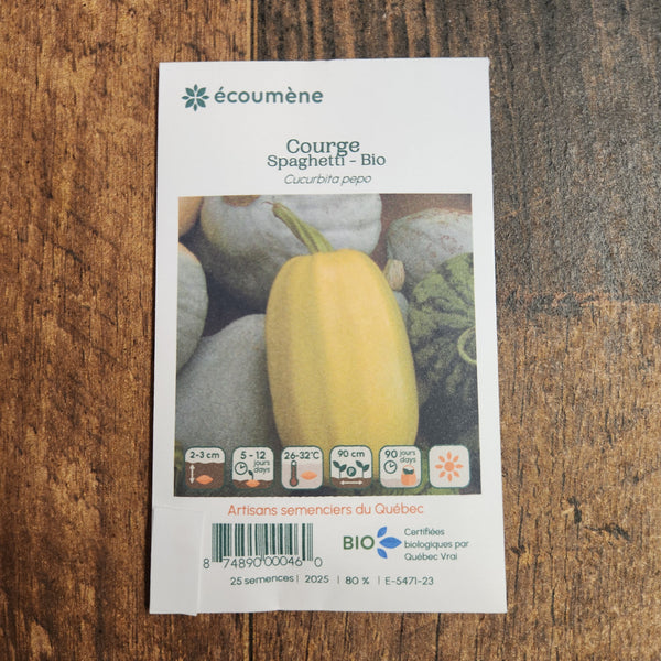 Courge 'Spaghetti' bio