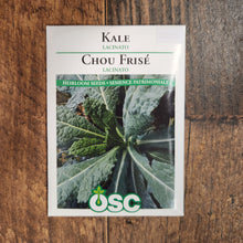 Kale 'Lacinato'