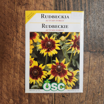 Rudbeckie 'Autumn Forest'