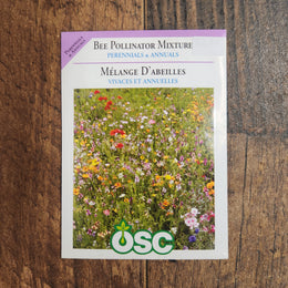 Mélange fleurs de prairie pollinisateurs d'abeilles