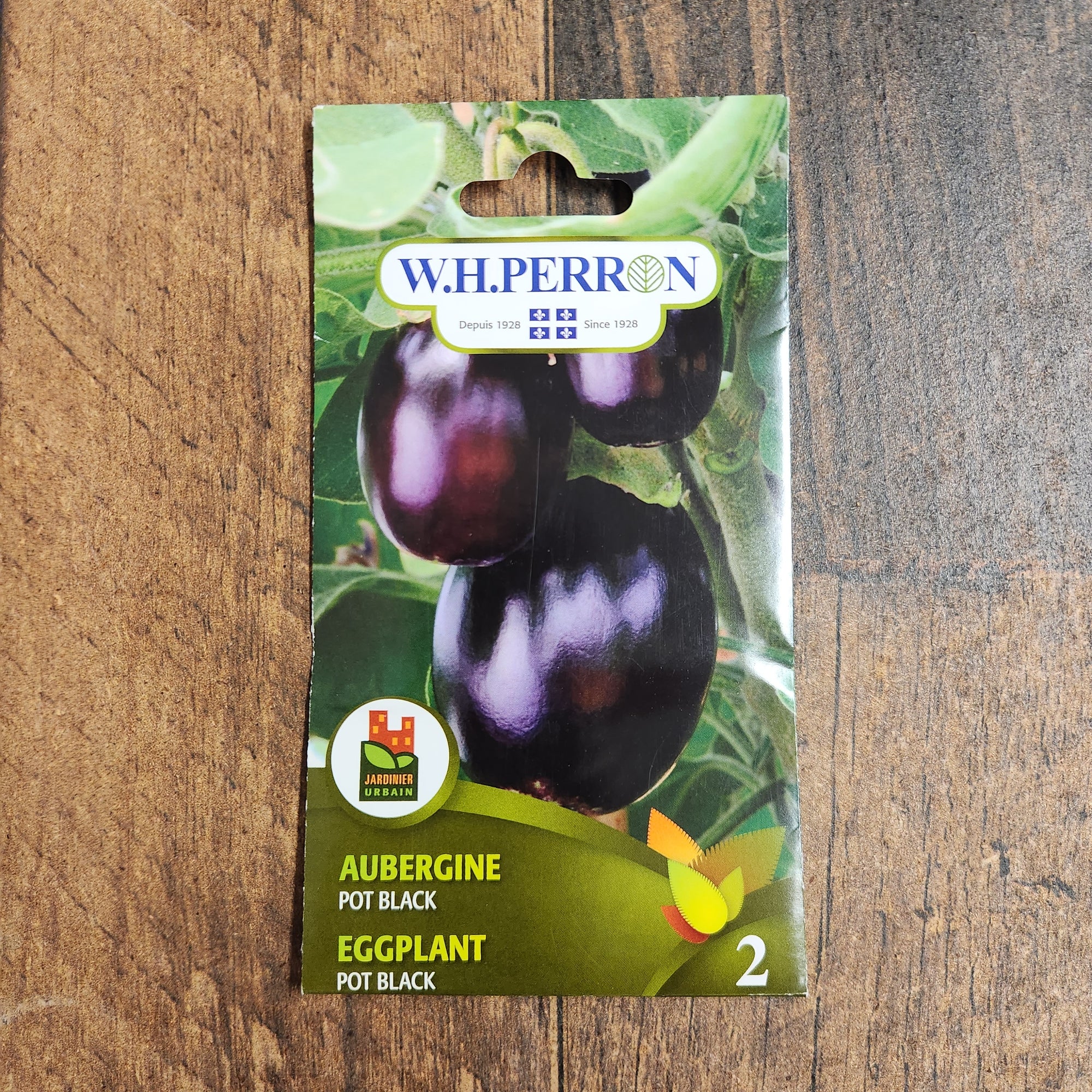 Aubergine 'Pot Black'