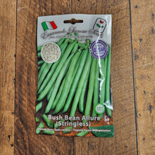 Bush bean 'Allure' - Stringless