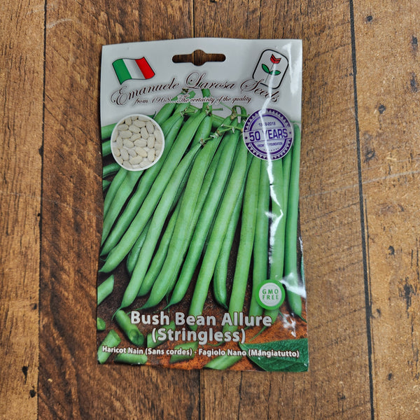 Haricot nain 'Allure - Sans fil'
