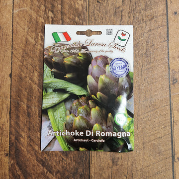 Artichaut 'Di Romagna'