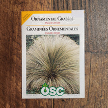 Ornamental Grass 'Angels Hair'