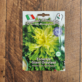 Image de Escarole géante ‘Ortolani’ ( Cichorium endivia ). Escarole géante ‘Ortolani’ permet de cultiver une variété clairement identifiée dans un espace adapté à ses besoins. Son nom botanique est Cichorium endivia. Le sachet fournit le point de départ nécessaire pour planifier le semis et suivre la culture au fil de la saison. Cette illustration aide à reconnaître le produit et les principales caractéristiques décrites pour Escarole géante ‘Ortolani’ ( Cichorium endivia ).
