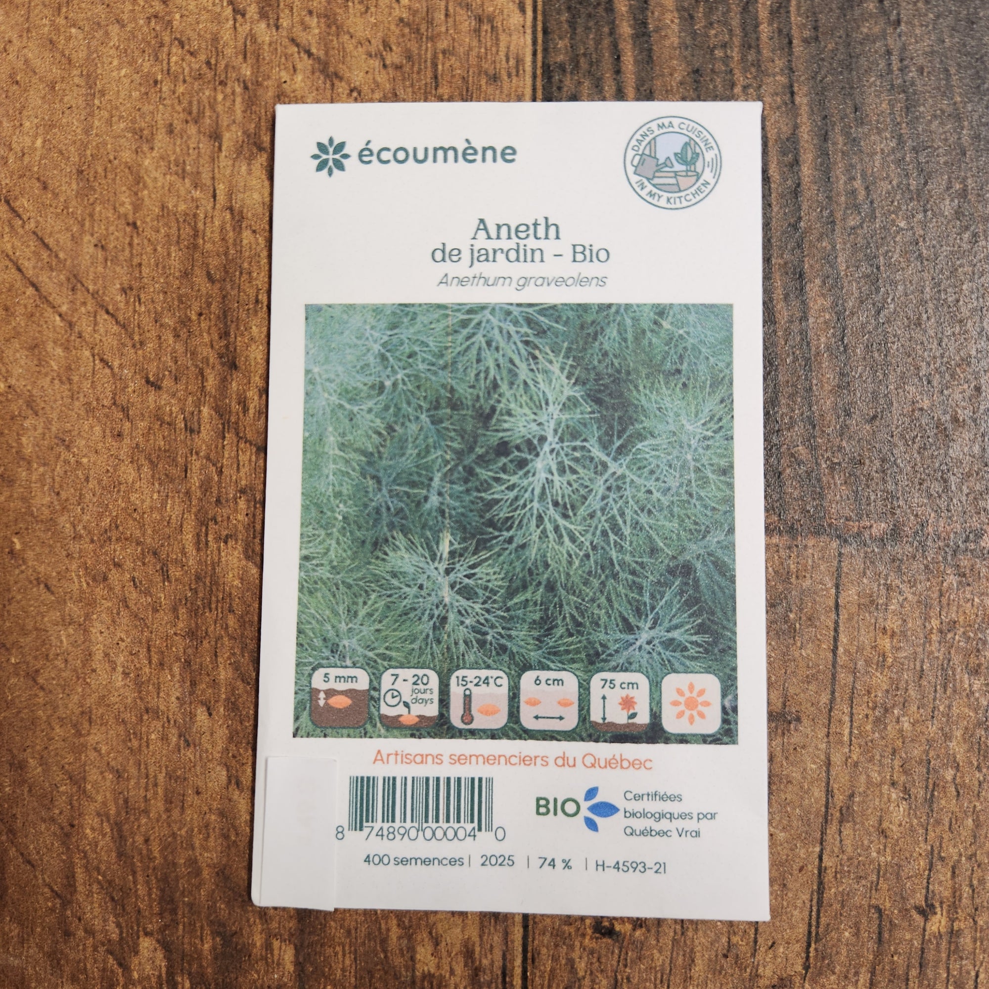 Organic garden dill